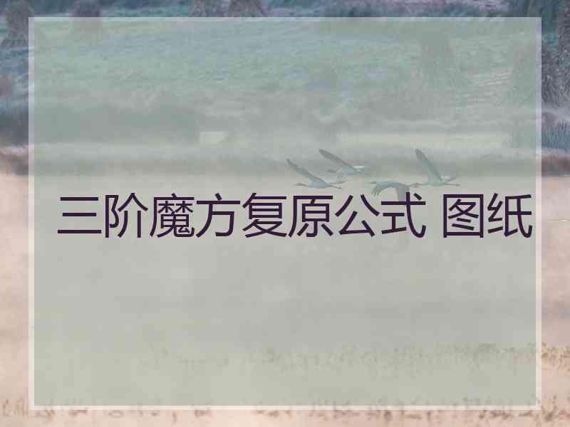 三阶魔方复原公式 图纸
