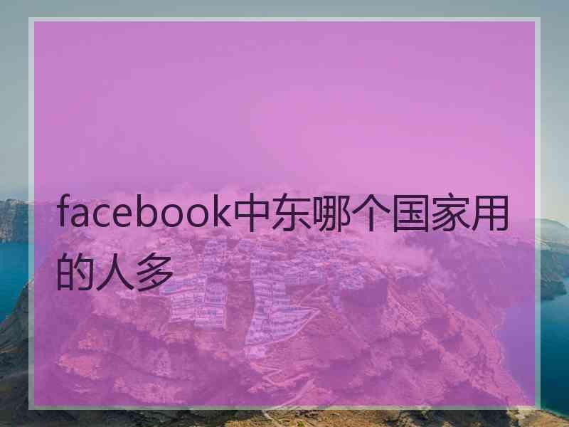facebook中东哪个国家用的人多