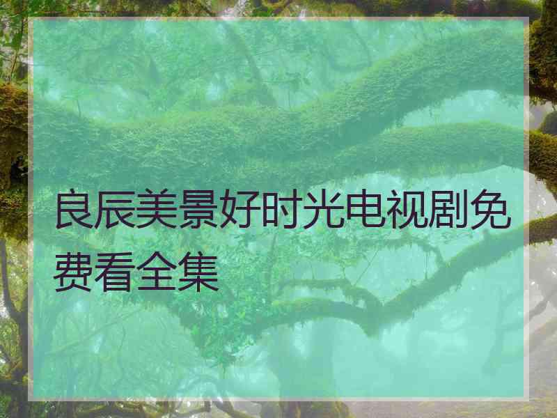 良辰美景好时光电视剧免费看全集