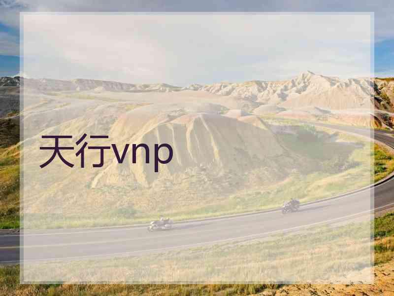 天行vnp