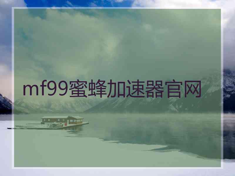 mf99蜜蜂加速器官网