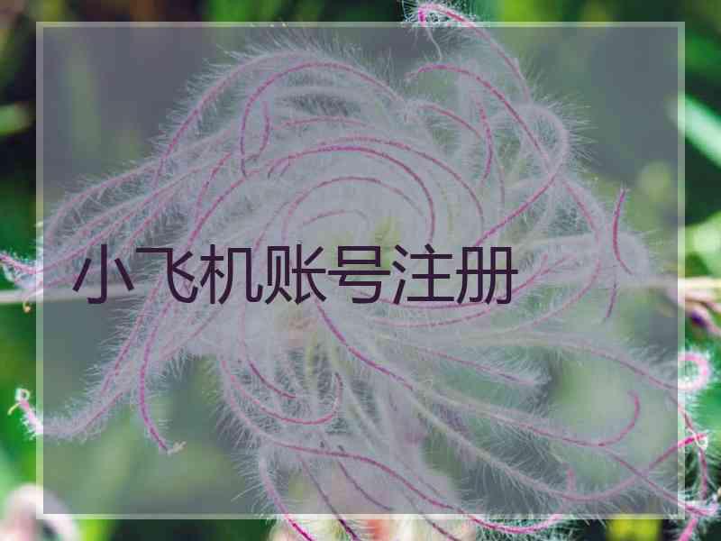小飞机账号注册