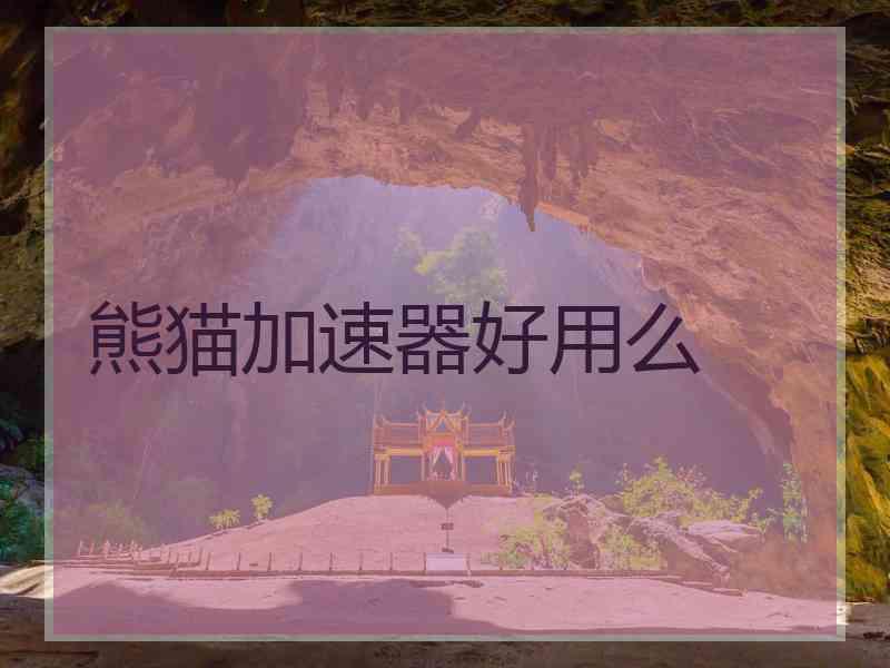 熊猫加速器好用么