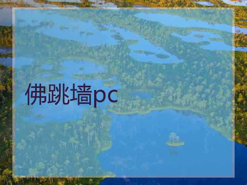 佛跳墙pc
