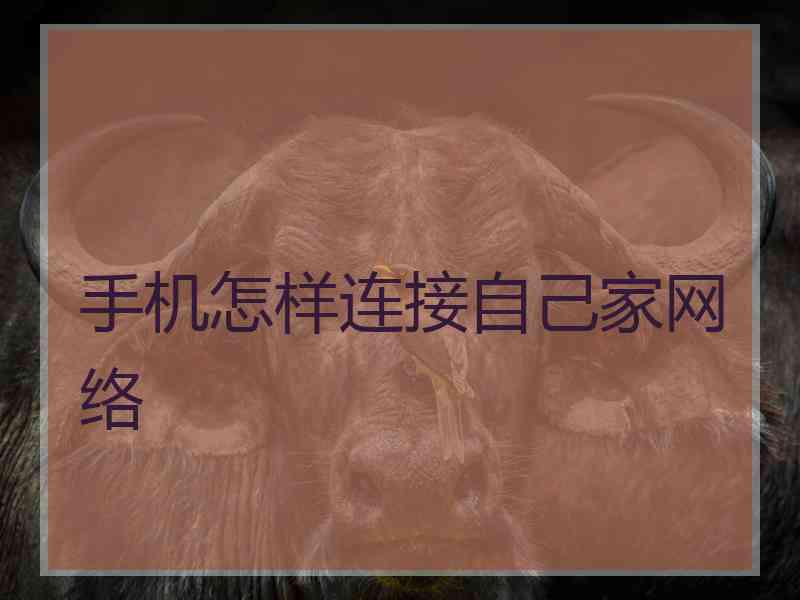 手机怎样连接自己家网络