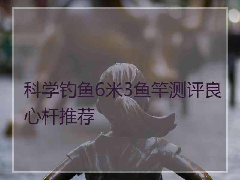 科学钓鱼6米3鱼竿测评良心杆推荐