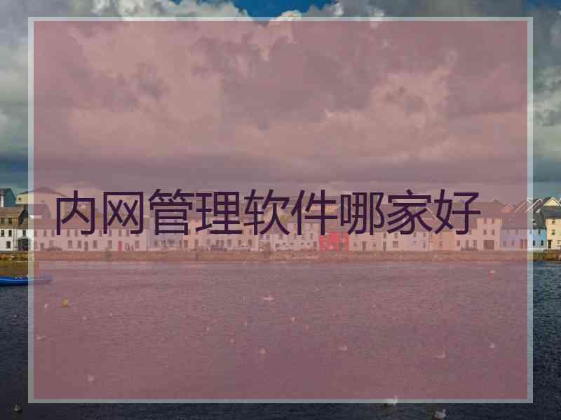 内网管理软件哪家好