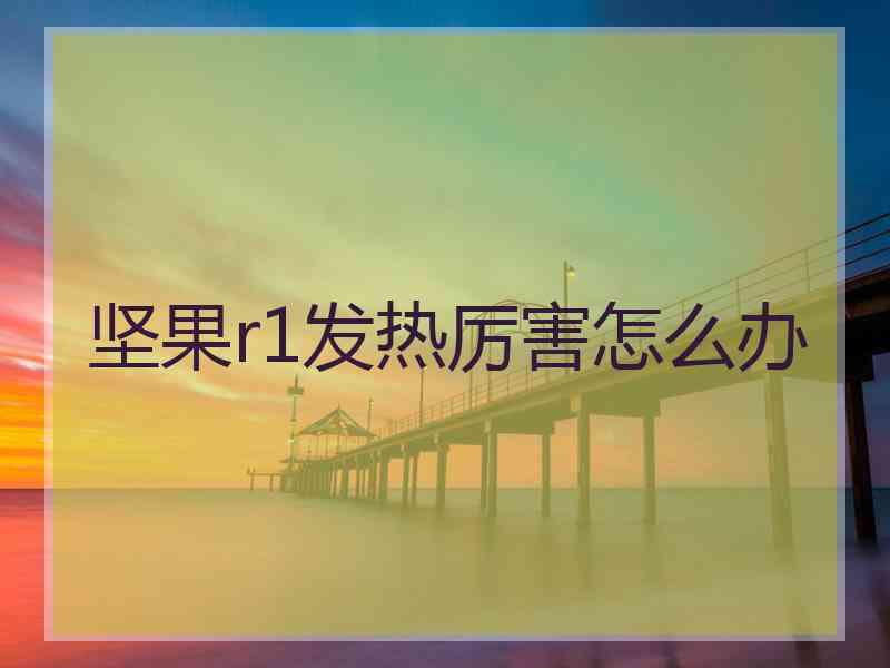 坚果r1发热厉害怎么办
