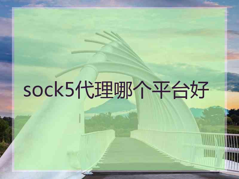 sock5代理哪个平台好