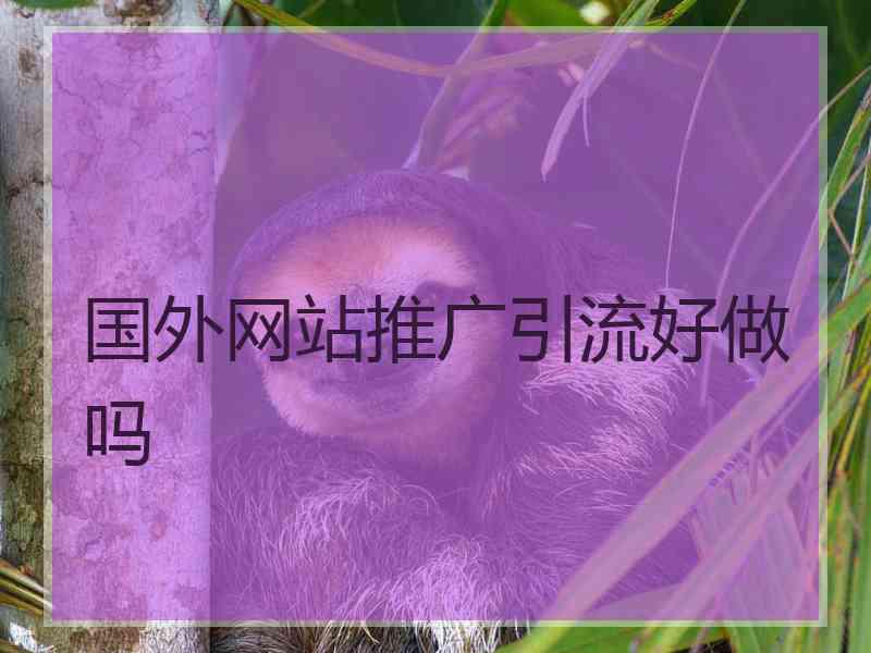 国外网站推广引流好做吗