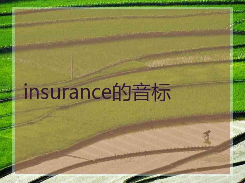 insurance的音标
