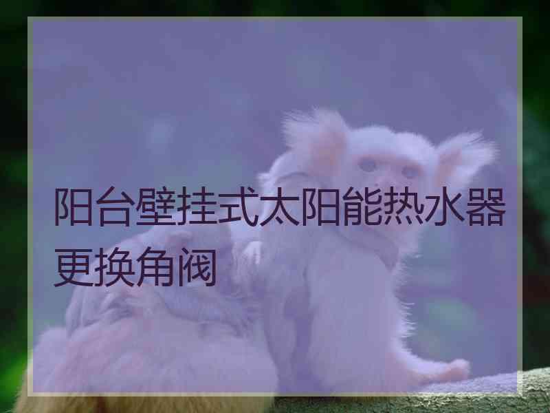 阳台壁挂式太阳能热水器更换角阀