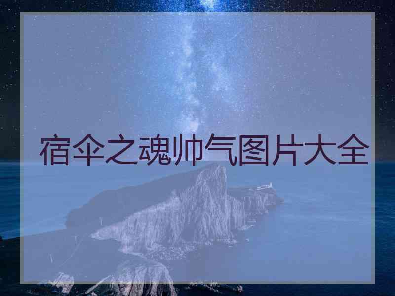 宿伞之魂帅气图片大全