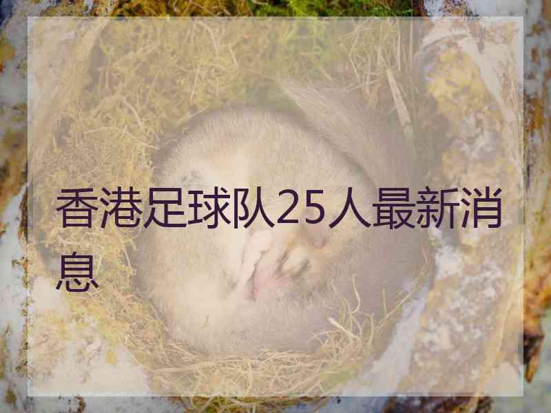 香港足球队25人最新消息