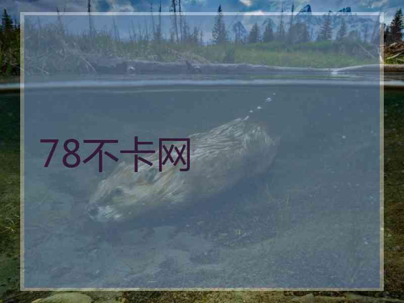 78不卡网