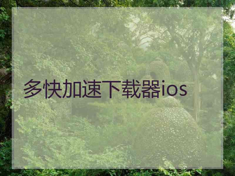 多快加速下载器ios
