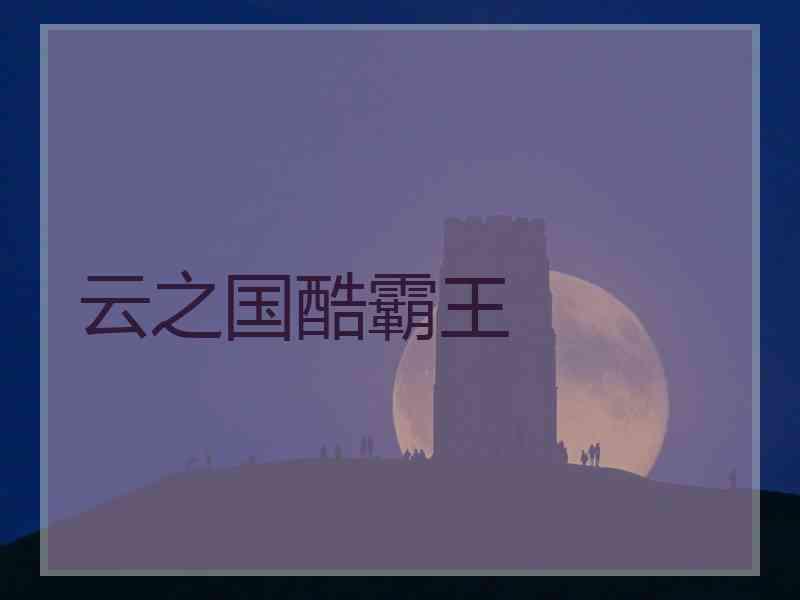 云之国酷霸王