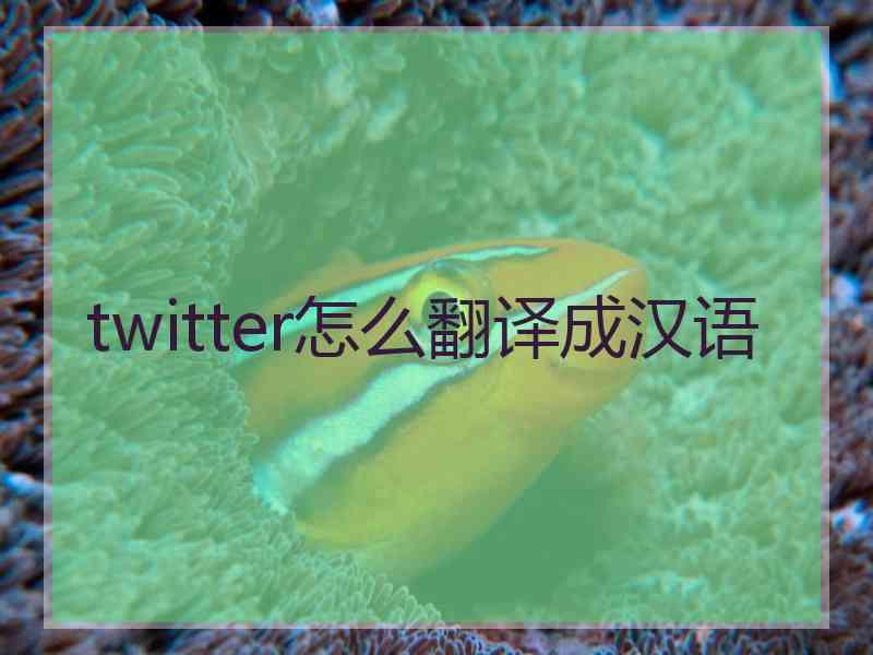 twitter怎么翻译成汉语