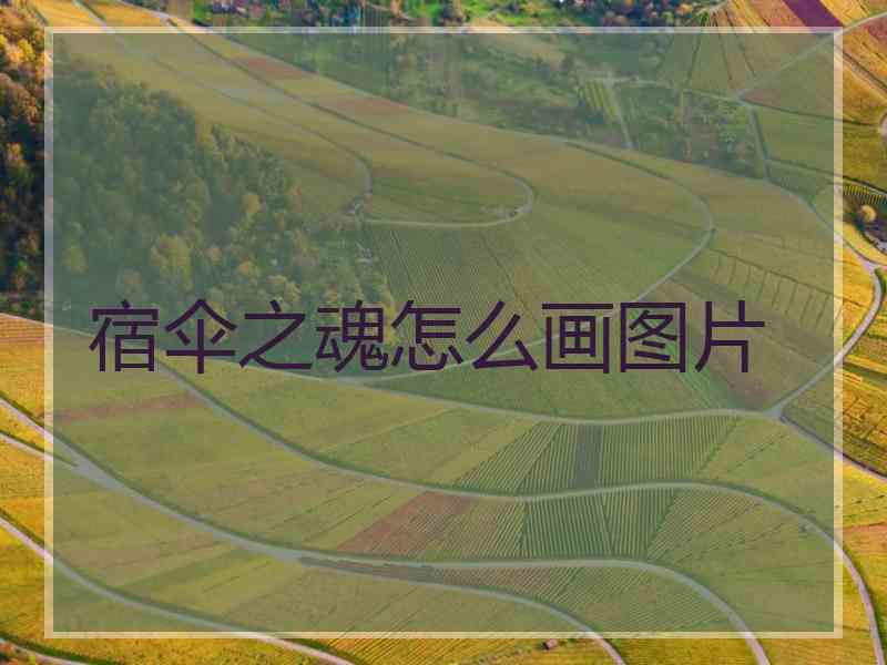 宿伞之魂怎么画图片