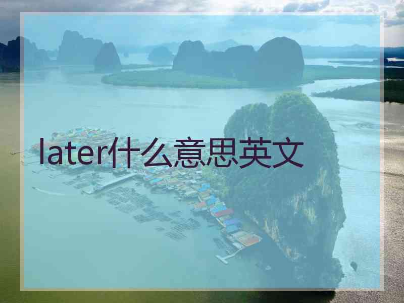 later什么意思英文