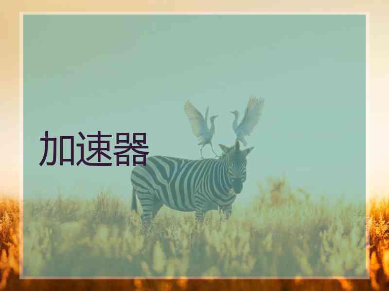 加速器