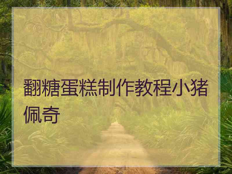 翻糖蛋糕制作教程小猪佩奇