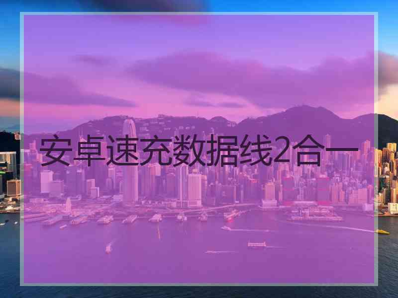 安卓速充数据线2合一