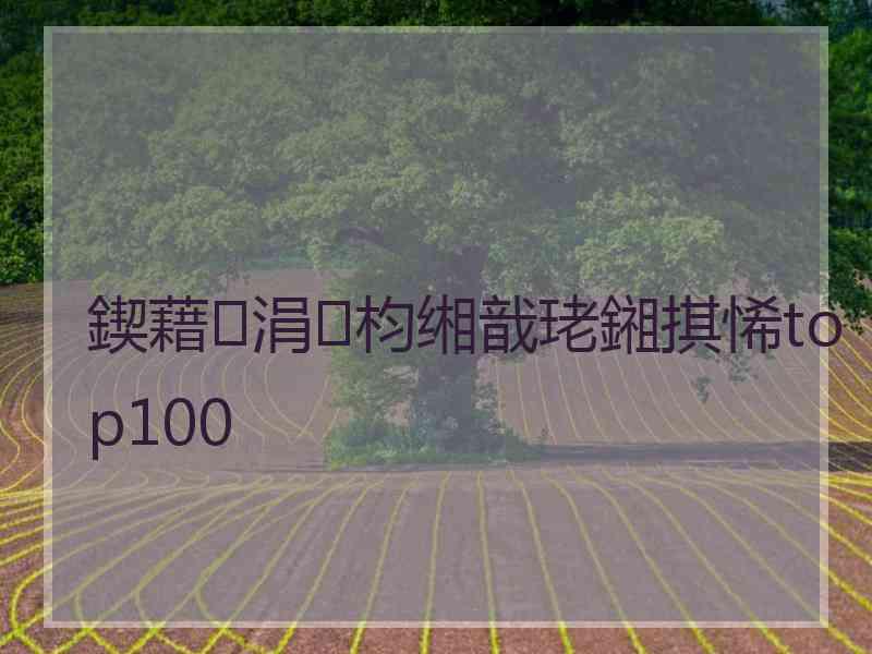 鍥藉涓枃缃戠珯鎺掑悕top100