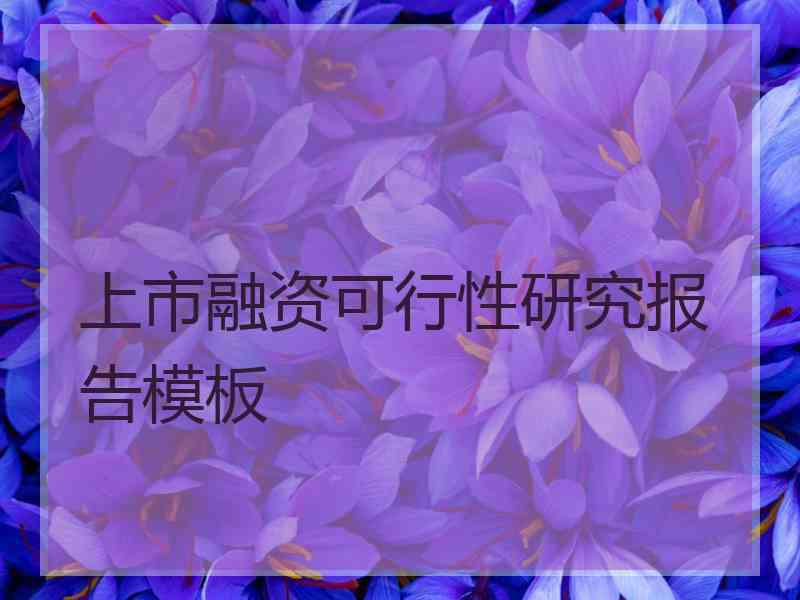 上市融资可行性研究报告模板