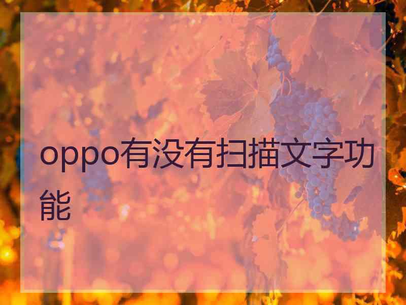 oppo有没有扫描文字功能