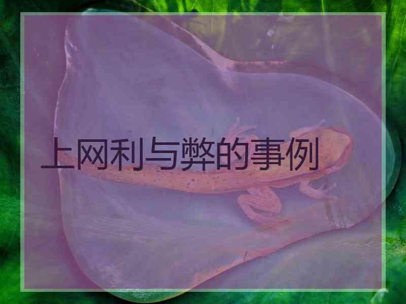 上网利与弊的事例