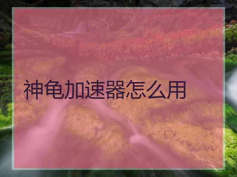 神龟加速器怎么用
