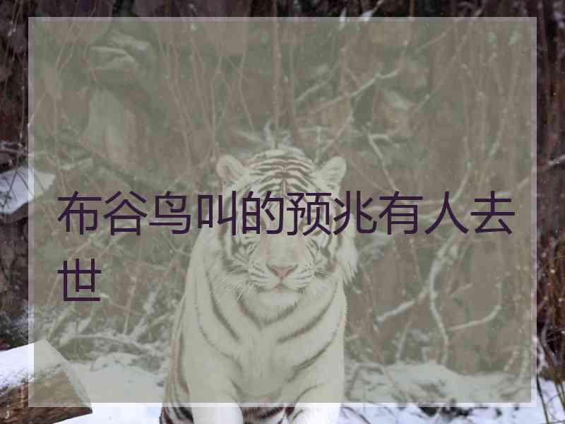 布谷鸟叫的预兆有人去世