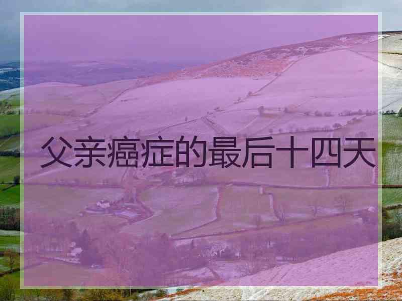 父亲癌症的最后十四天