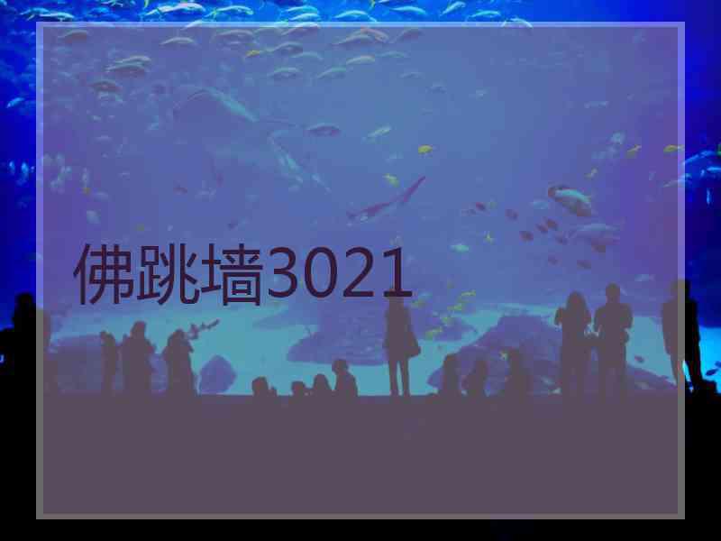 佛跳墙3021