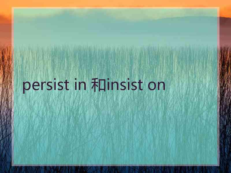 persist in 和insist on