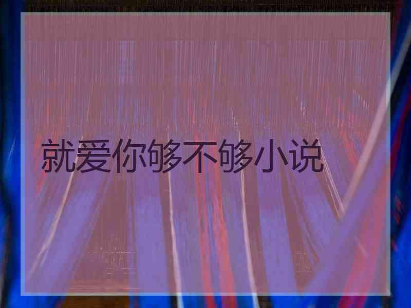 就爱你够不够小说