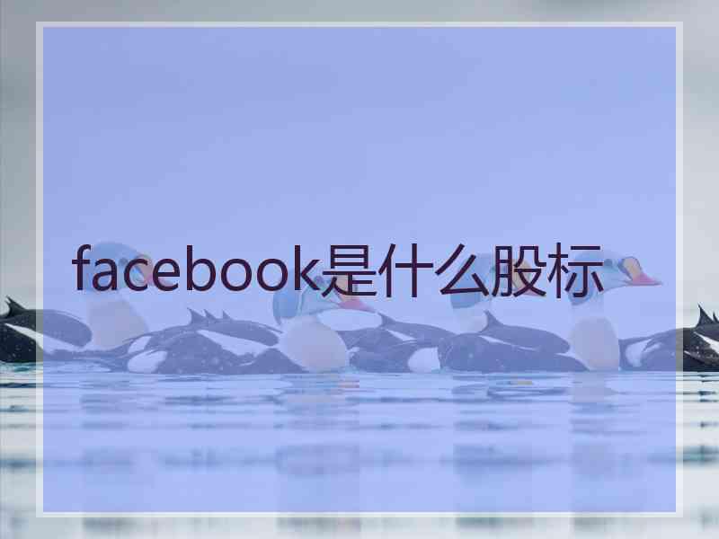 facebook是什么股标