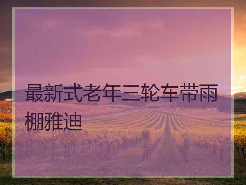 最新式老年三轮车带雨棚雅迪