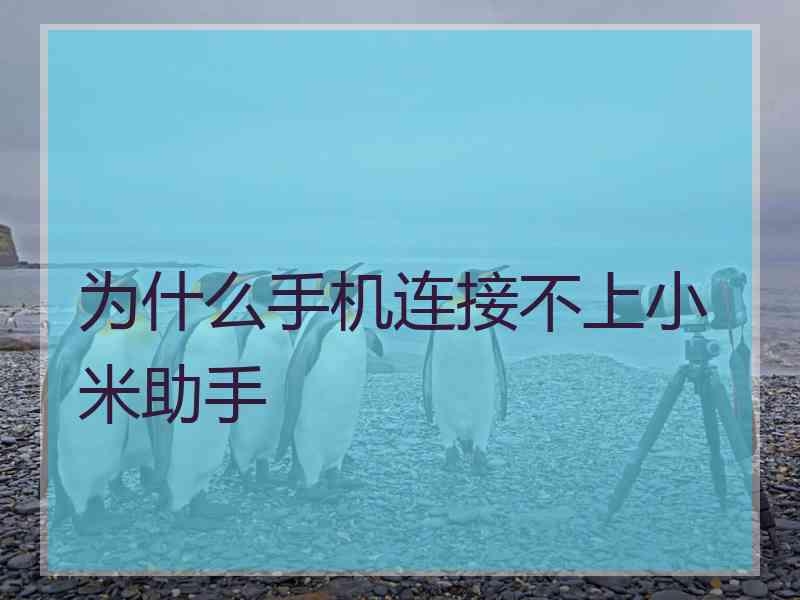 为什么手机连接不上小米助手