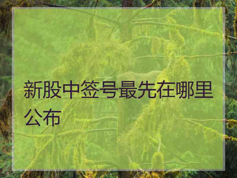 新股中签号最先在哪里公布