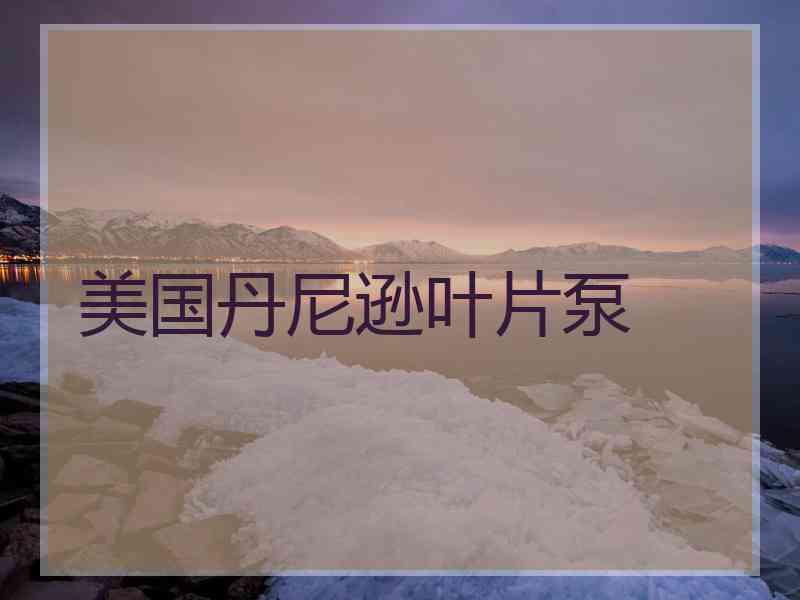 美国丹尼逊叶片泵