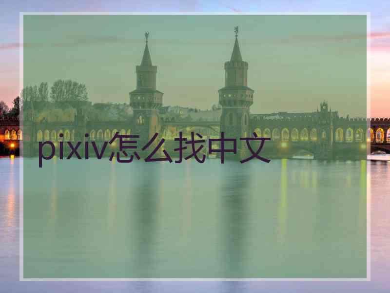 pixiv怎么找中文