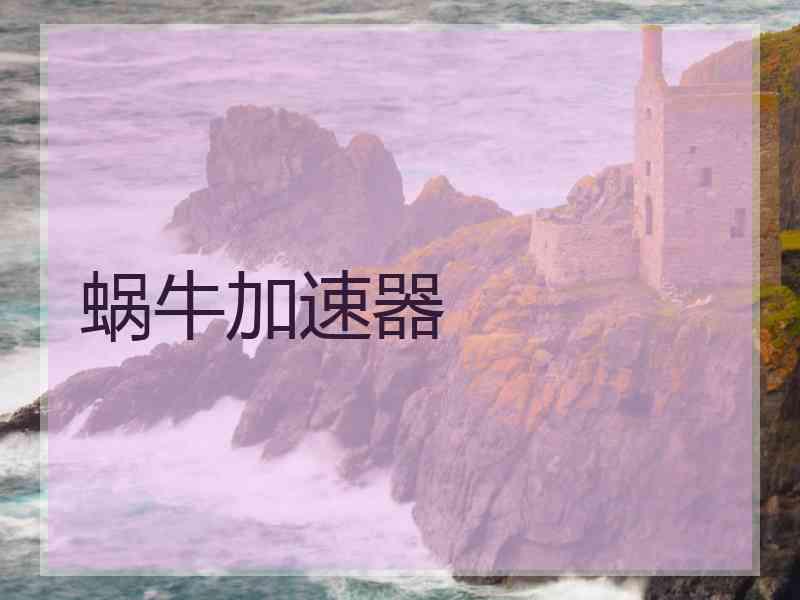 蜗牛加速器