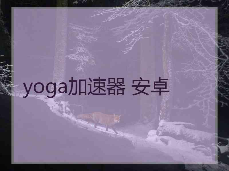 yoga加速器 安卓