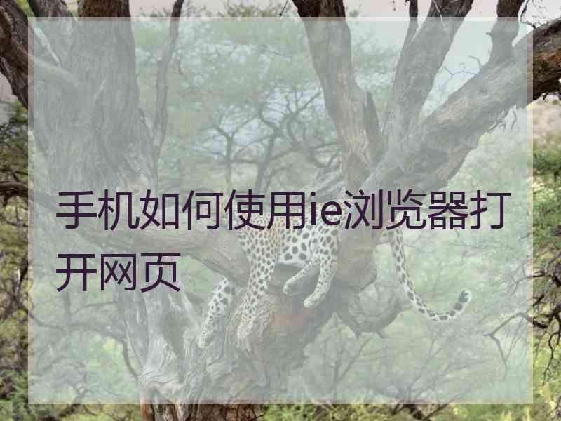 手机如何使用ie浏览器打开网页