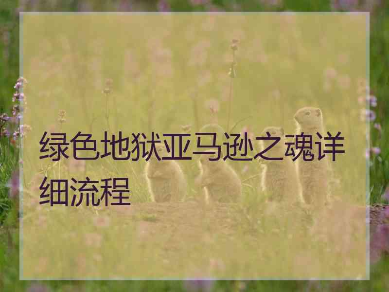 绿色地狱亚马逊之魂详细流程