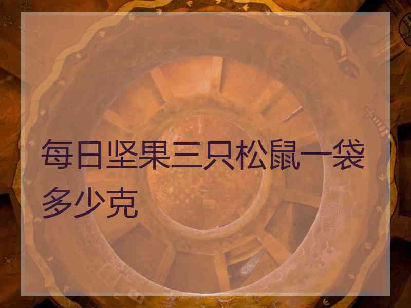 每日坚果三只松鼠一袋多少克