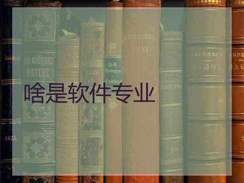 啥是软件专业