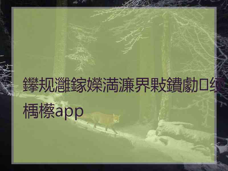 鑻规灉鎵嬫満濂界敤鐨勮绠楀櫒app